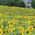 【お得きっぷで鉄道旅】まだある！ お得きっぷガイド〈2026年版〉