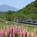 【お得きっぷで鉄道旅】ローカル線とフェリーで北へ！ダイナミックな北海道の夏旅～上野発◎北海道＆東日本パス3日間～
