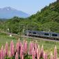  【お得きっぷで鉄道旅】ローカル線とフェリーで北へ！ダイナミックな北海道の夏旅～上野発◎北海道＆東日本パス3日間～
