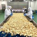 ポテトチップスの工場見学が湖池屋中部工場でスタート