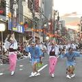 神奈川県大和市で阿波踊り開催！各地からゲスト連も参加