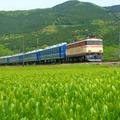 【絶景＆グルメ 観光列車の旅】国鉄仕様の懐かしい車両で清流を眺めながら“静岡”を賞味 大井川鐵道「Train Dining オハシ」