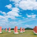「飛鳥・藤原の宮都」の世界遺産登録が決定💐
