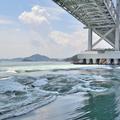 【極上の民宿】美肌で知られる天然温泉も魅力　料理民宿 ふじ本＜兵庫・南あわじ市＞（2）