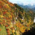 【ロープウェイで秋絶景】温泉街から紅葉と伊勢湾の絶景が待つ山上へ　御在所ロープウエイ＜三重・菰野町＞