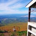 【ロープウェイで秋絶景】八甲田の錦秋の森を渡る空中さんぽ　八甲田ロープウェー＜青森・青森市＞