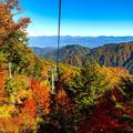 【ロープウェイで秋絶景】紅葉の森を上がり、星空や雲海の別天地へ　富士見台高原ロープウェイ（1）＜長野・阿智村＞