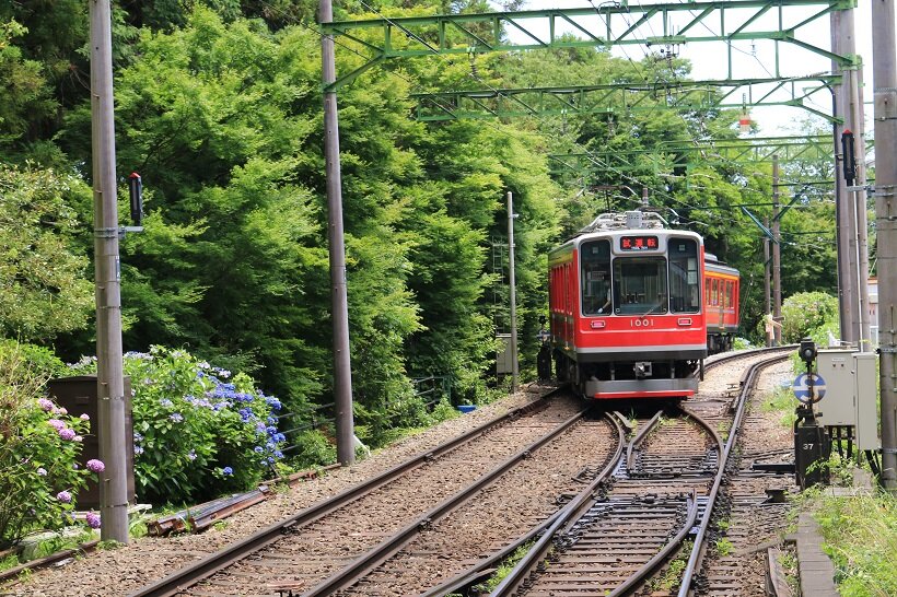 大平台駅近くでスイッチバックする箱根登山電車
