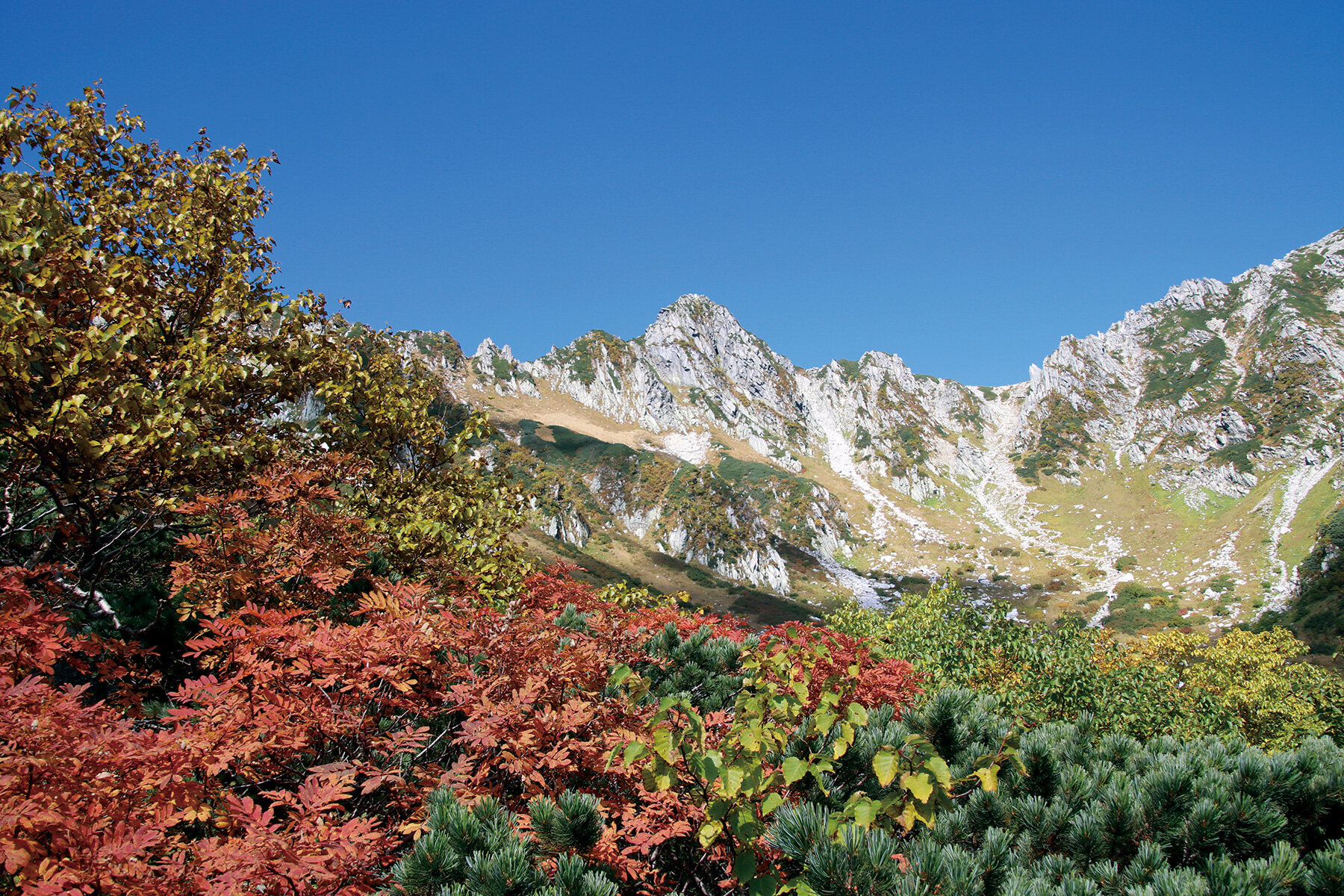 【関東周辺】絶景！ 秋めく彩りの山へ（２）