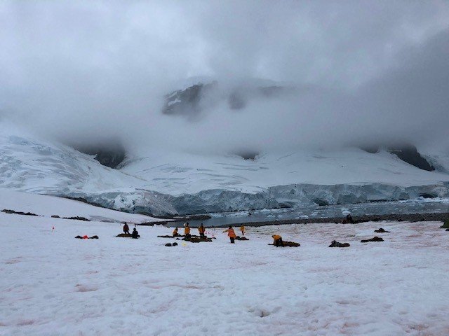 【添乗員日記】深夜、氷河が崩れ落ちる音を聞きながら。――南極・ロンジェ島でのキャンプ
