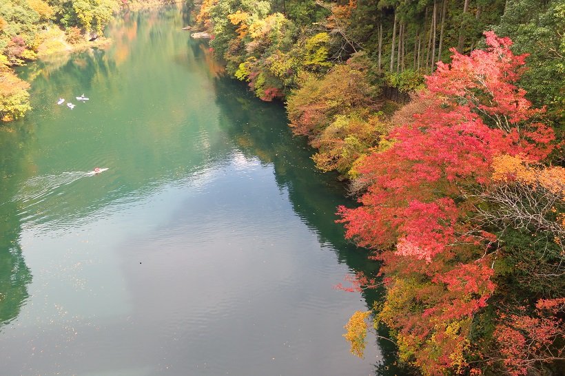 数馬峡橋から眺める白丸湖畔遊歩道沿いの紅葉