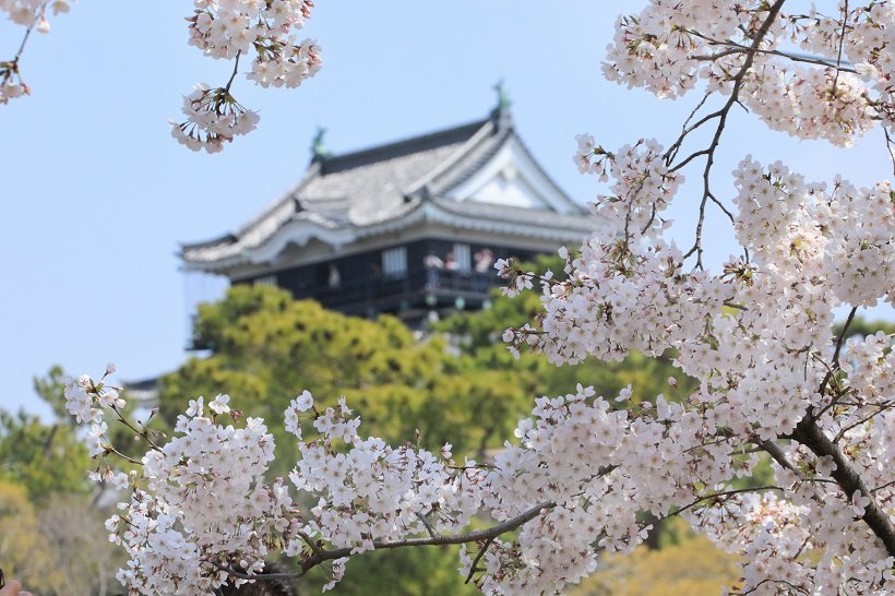 満開の桜と家康ゆかりの城、寺社＆スイーツを巡る