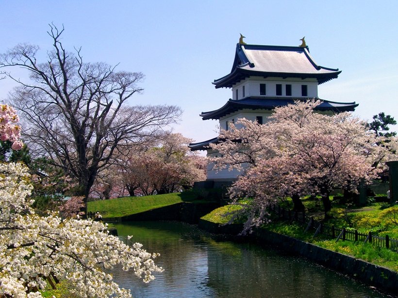 日本最北の城下町に咲く1万本の桜