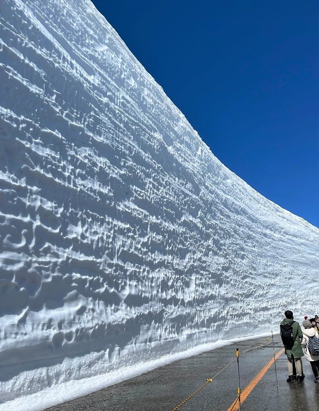 18メートルの雪の壁「雪の大谷」を歩く