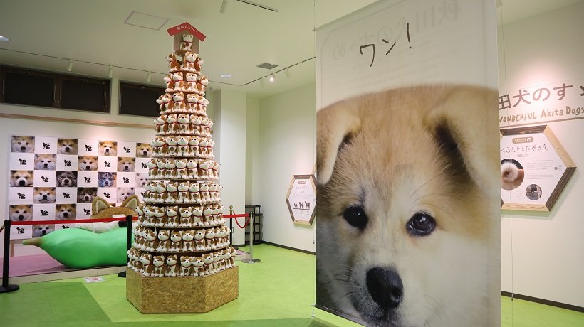 「秋田犬の里」内にある秋田犬に関する展示スペース「秋田犬ミュージアム」