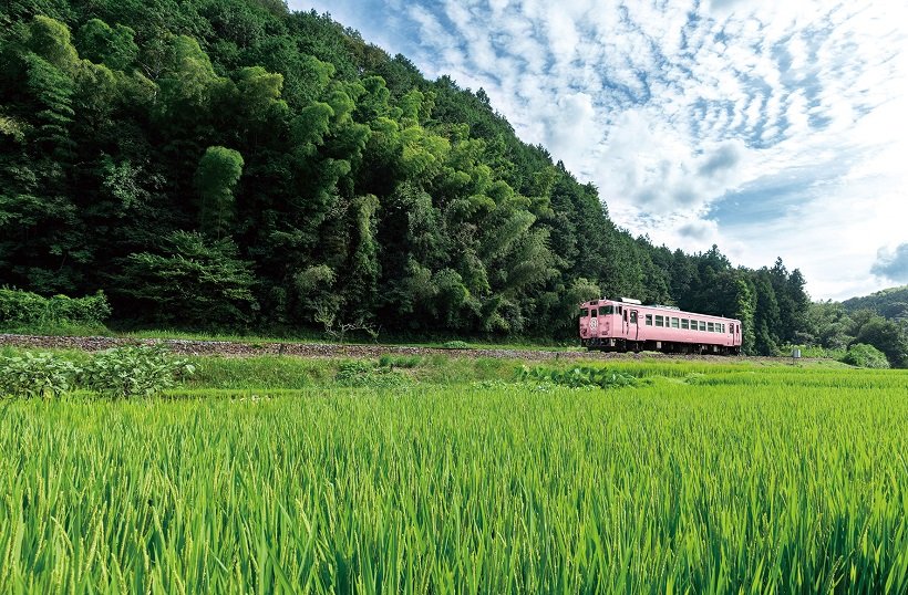 津山線の新観光列車「SAKU美SAKU楽（さくびさくら）」運行！