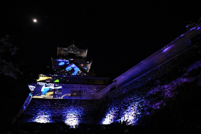 光と音楽で彩られた高知城が冬の夜空に浮かぶ