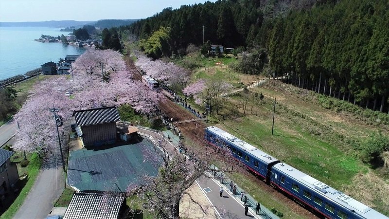 【桜の咲く駅へ】のと鉄道で行く能登鹿島駅（2）