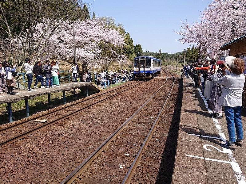 【桜の咲く駅へ】のと鉄道で行く能登鹿島駅（1）