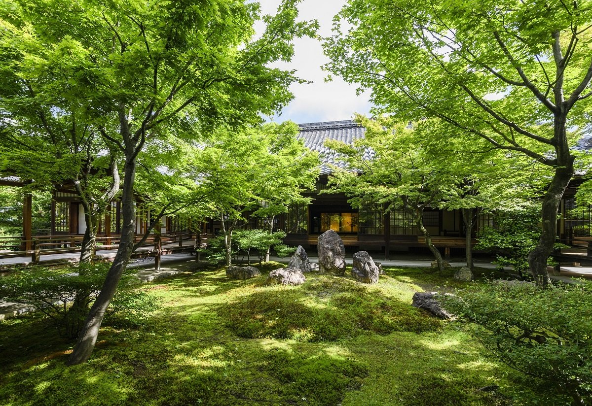 【私だけのひとり旅】青もみじの庭園と京菓子の奥深さ 京都へ（1）