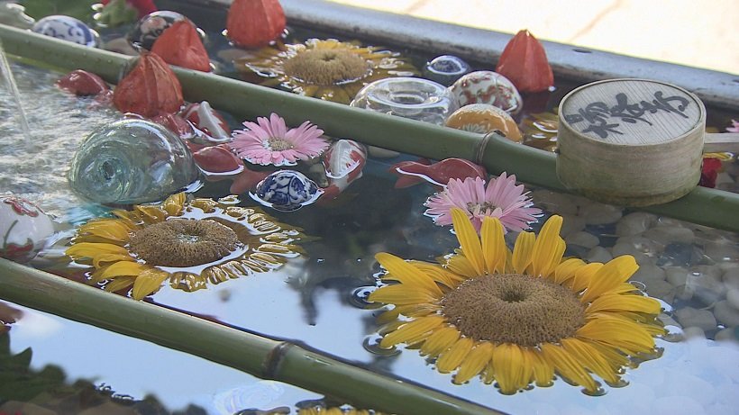 花と花手水が彩る初秋の寺へ