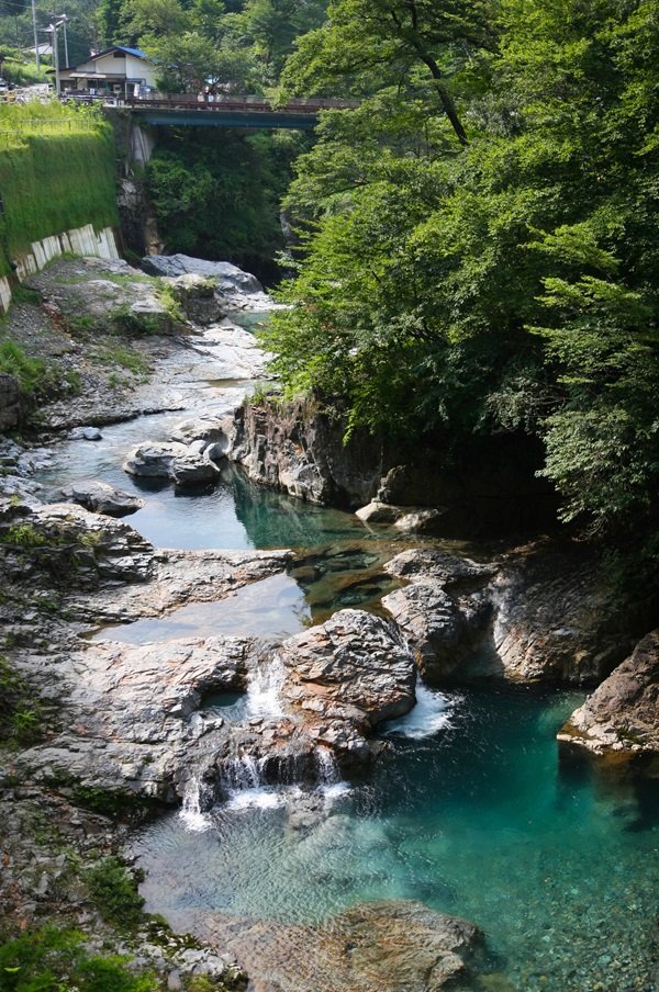 ‟四万ブルー”の自然を体感！ 「川を感じる森」５月オープン