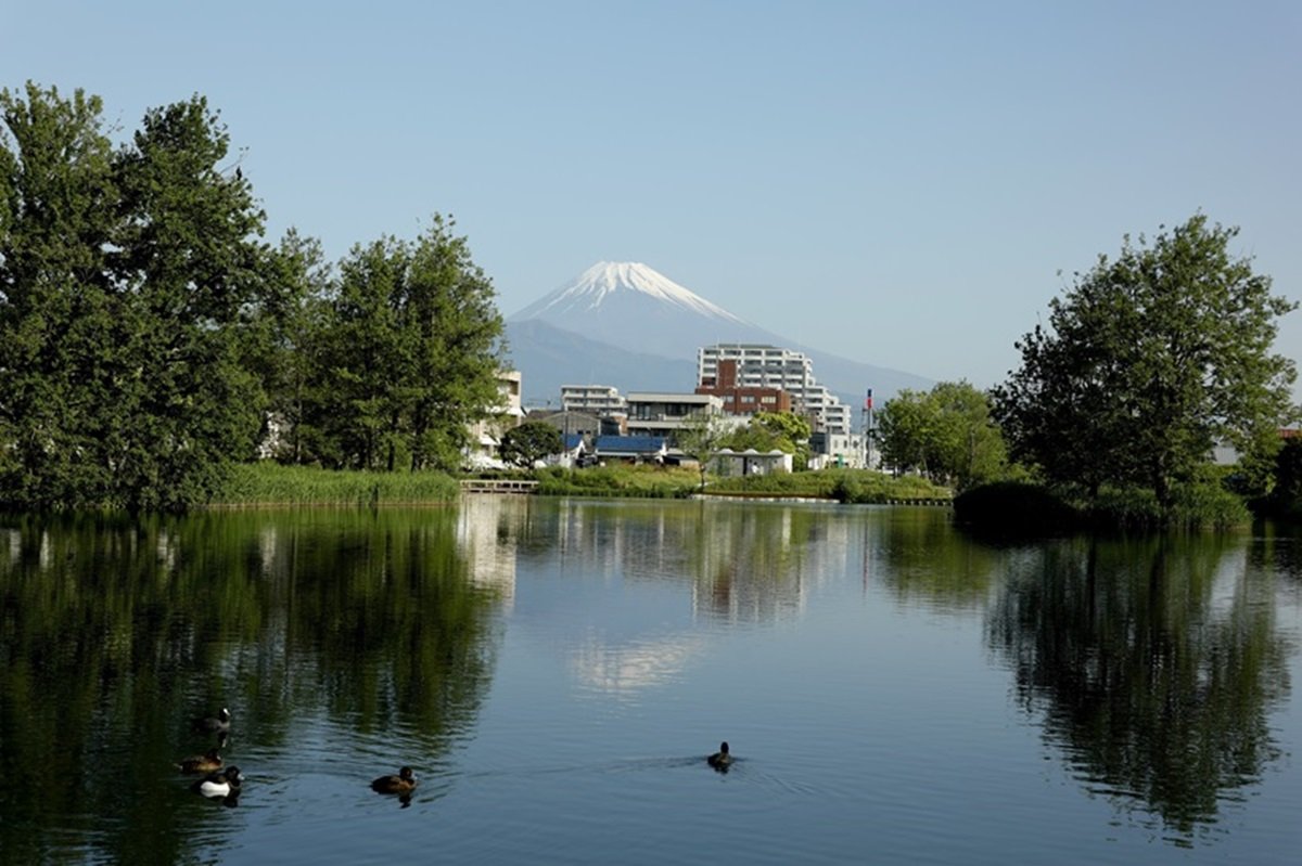 富士山からの清冽な伏流水が湧き出す「水の都」を歩く　三島駅から（2）【駅から歩こう1万歩】
