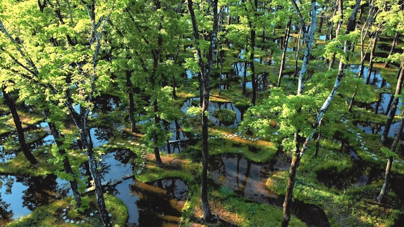 絶景の「水庭」のオーベルジュに泊まる　那須 無垢の音【オンリーワンの宿】