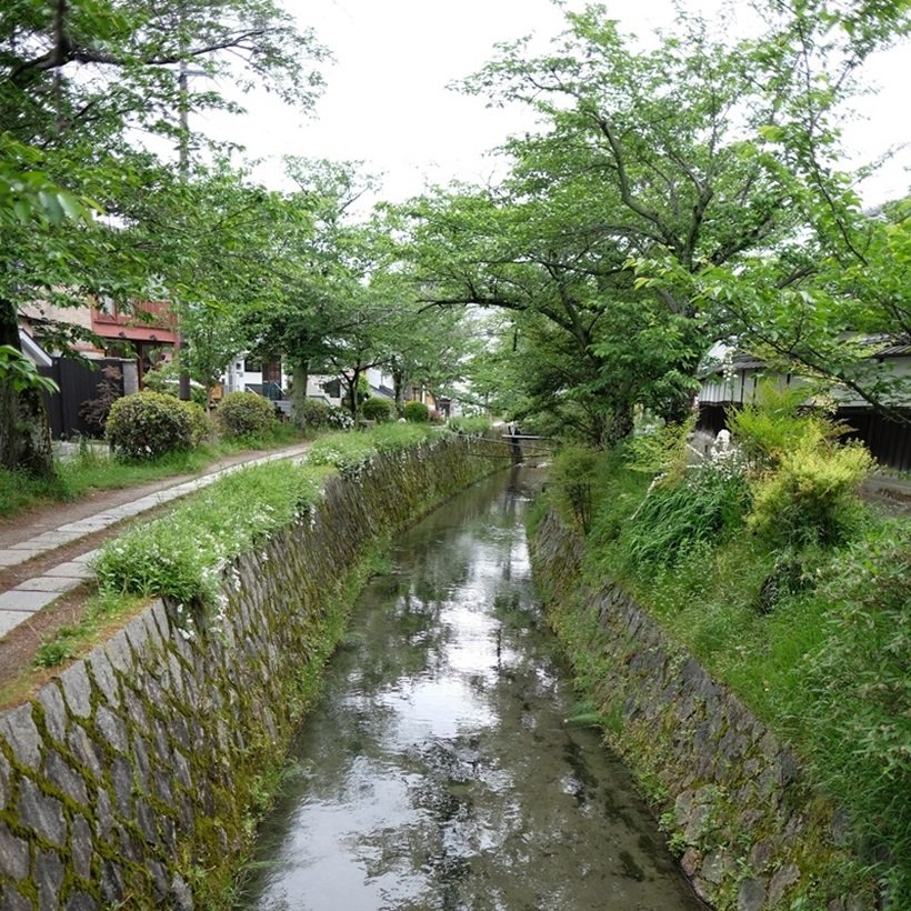 【私の初めてのひとり旅】野口健さん　京都哲学の道（2）