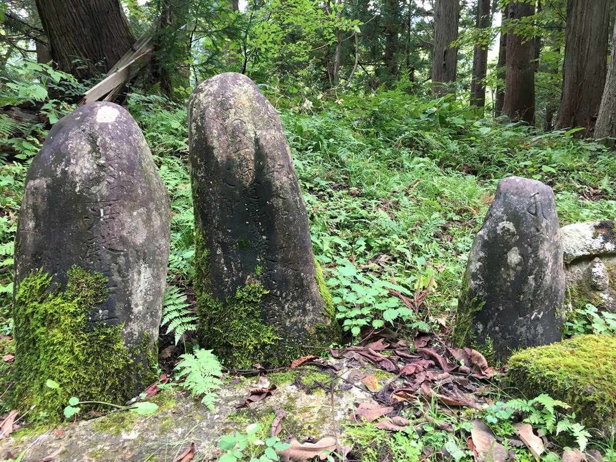 旅よみ　俳壇　旅行読売2024年10月号