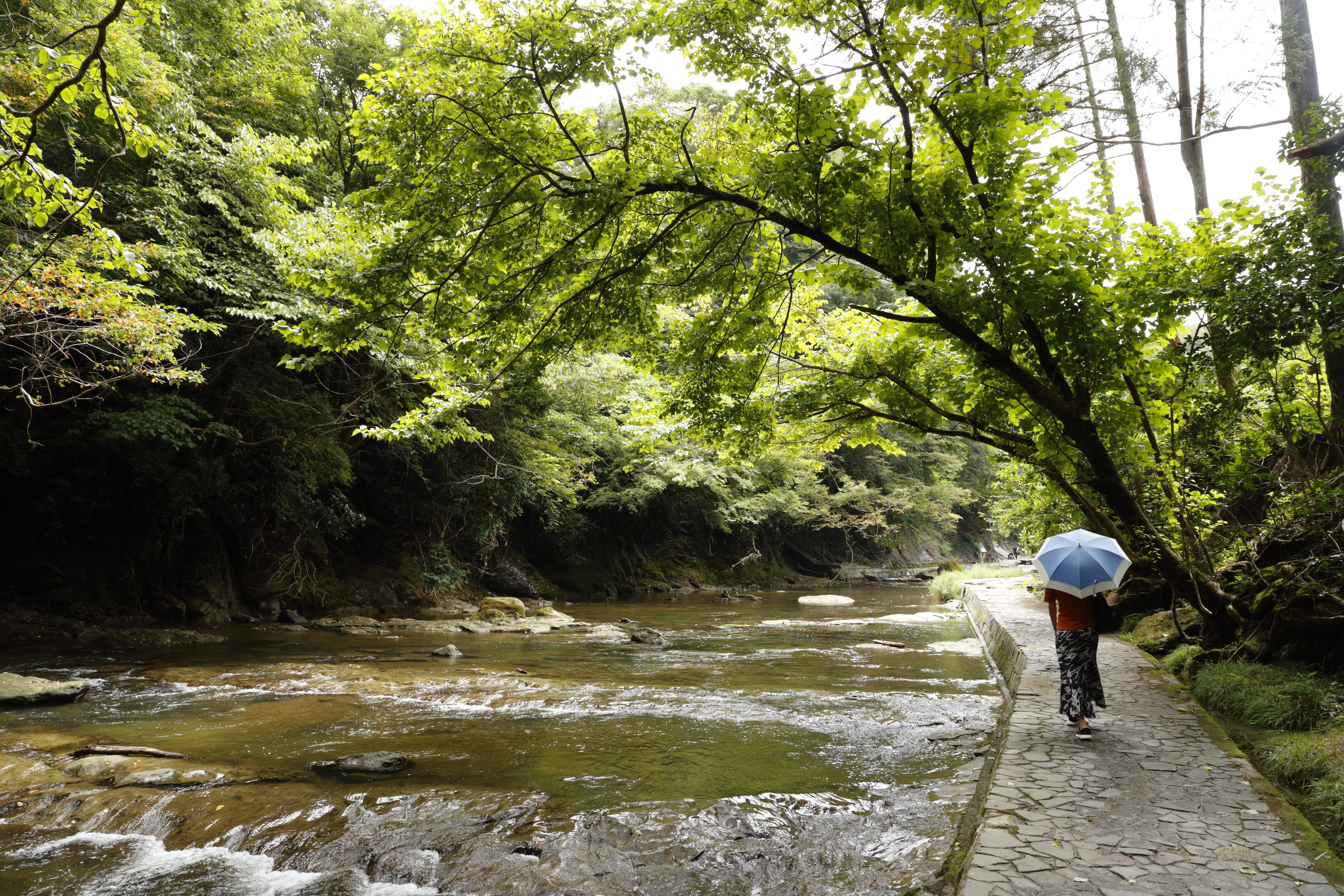 粟又の滝周辺の清流も心地良い