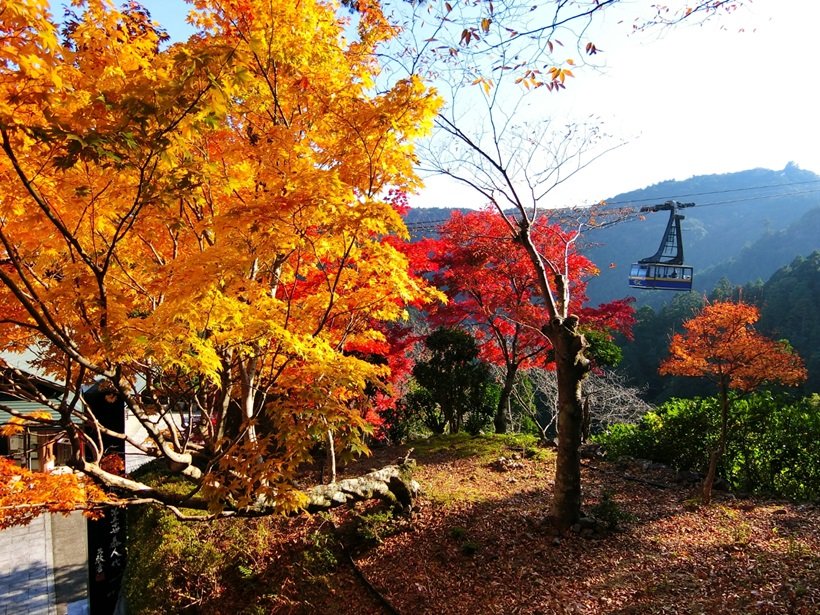 四国霊場 第21番札所・太龍寺を彩る紅葉と西日本最長ロープウェイ