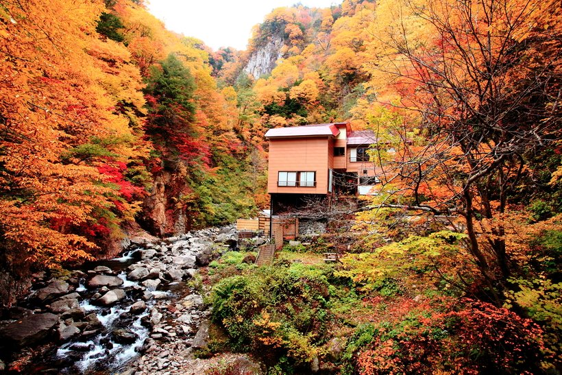 【紅葉の秘湯】源流の宿に思う人の温もり　山形・大平温泉 滝見屋（1）