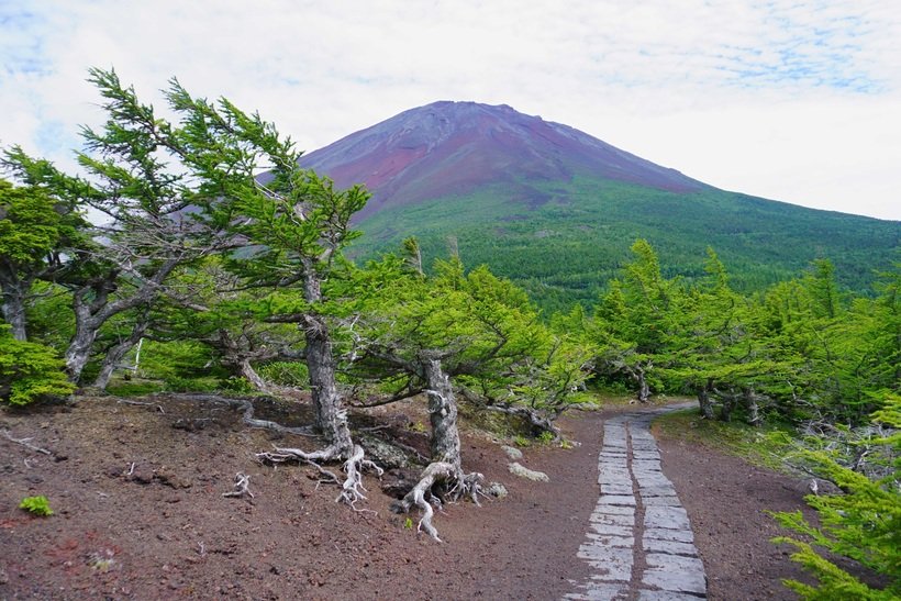 【登らない富士山】「富士下山」御中道－奥庭ルート＜山梨＞（1）