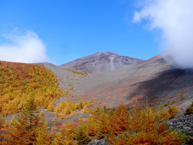 【登らない富士山】“富士下山”富士山の知られざる魅力に出合う自然旅行