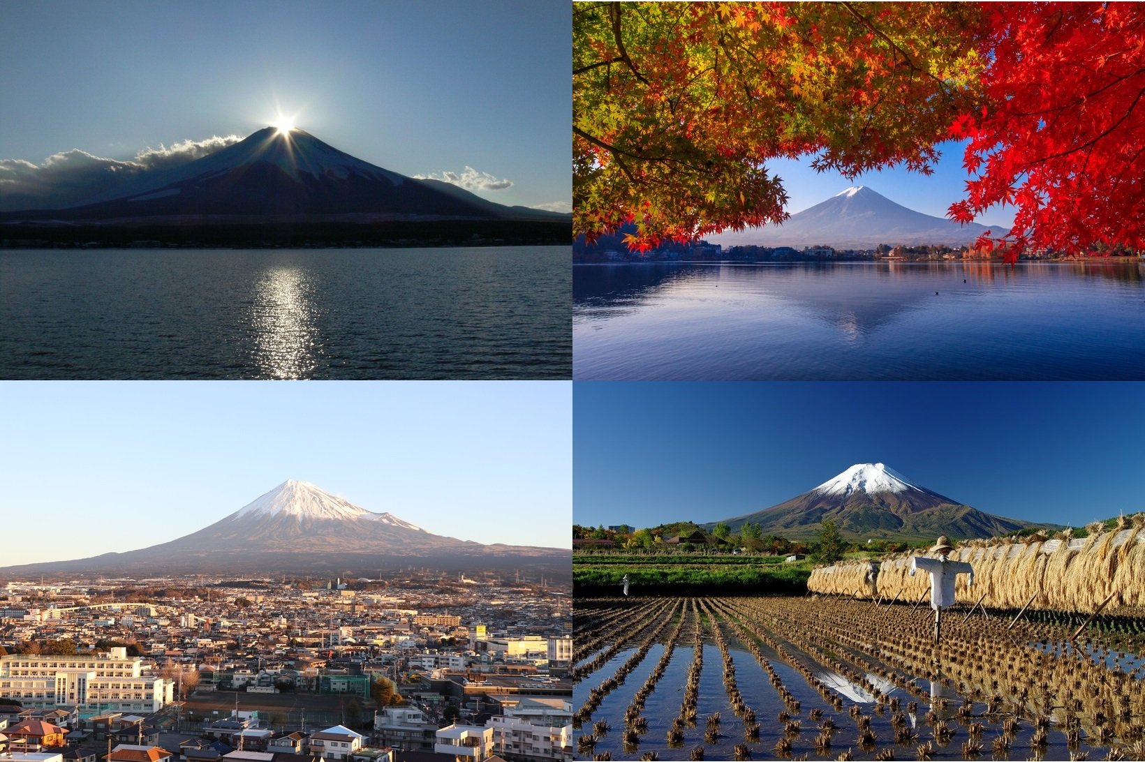 【登らない富士山】見ても楽しい富士山　麓からの絶景6選