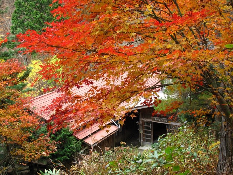 【紅葉の秘湯】秋の夜長をランプが照らす　岐阜・ランプの宿 渡合温泉