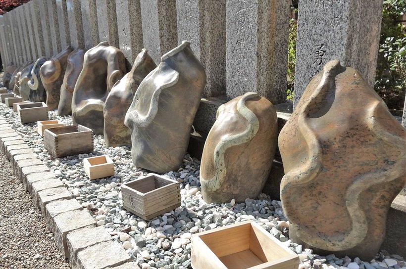 【旅して開運】コラム　巳年の初詣におすすめの神社は？