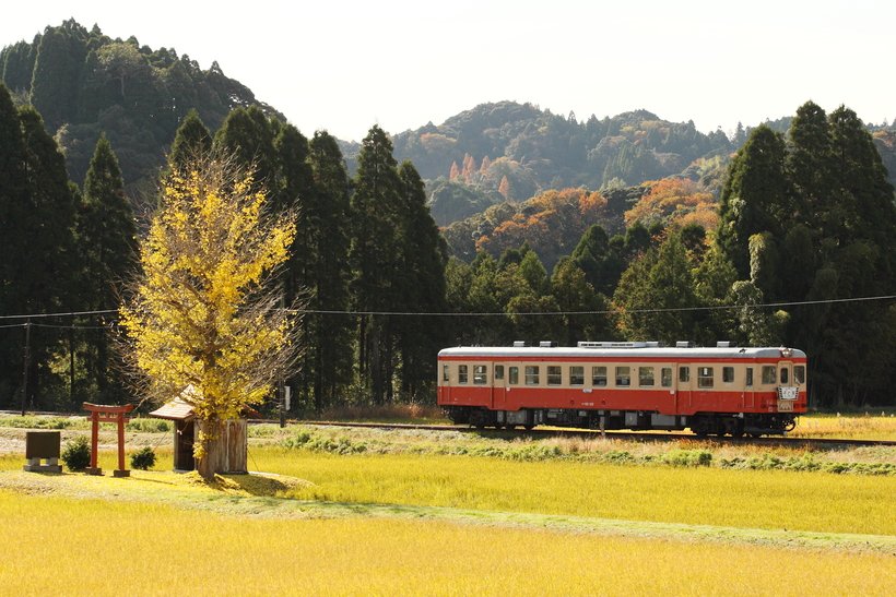 【鉄道ひとり旅】ローカル線で房総の駅弁と温泉を満喫（2）小湊鐵道～いすみ鉄道