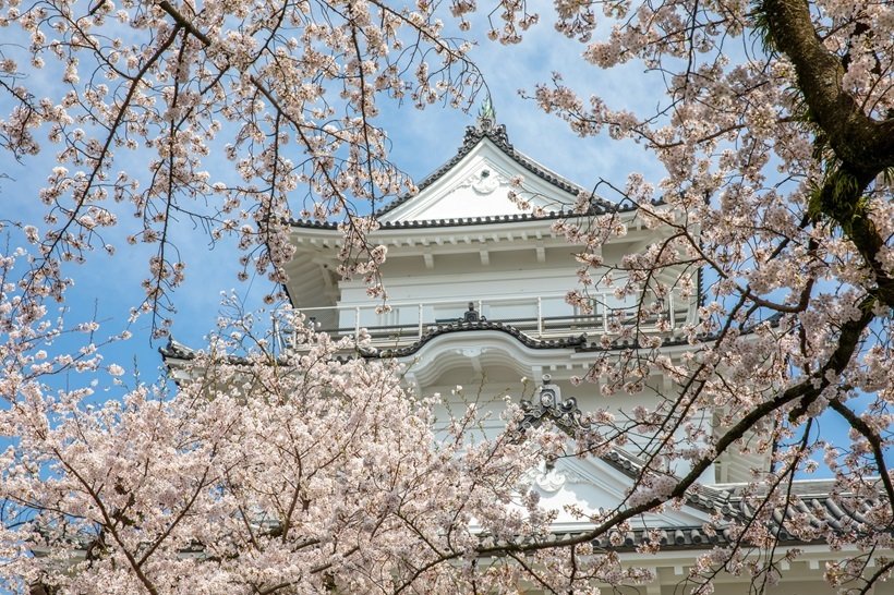 春めく〝西さがみ〞逍遥へ（1）～小田原～