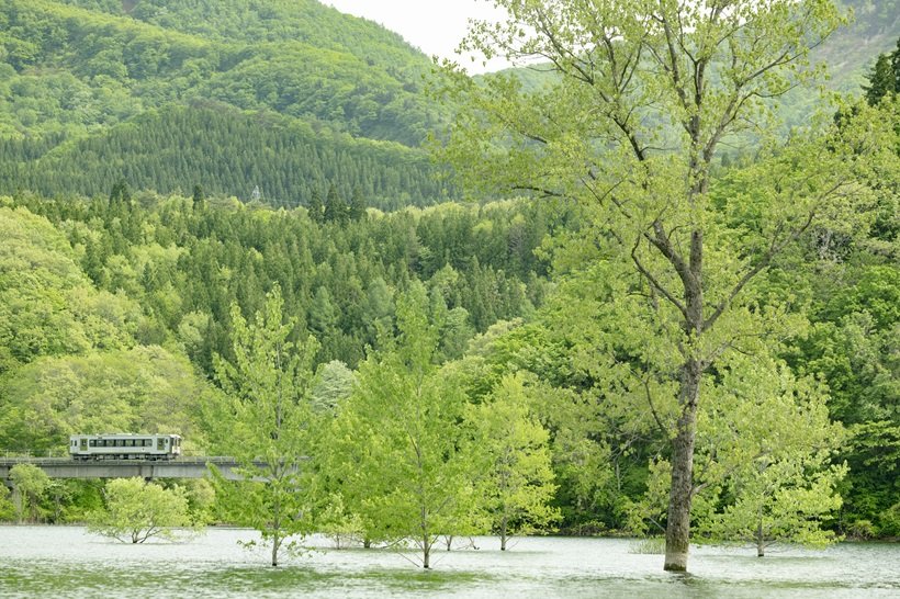 【中井精也のゆる鉄写真館】北上線ほっとゆだ～ゆだ錦秋湖駅間