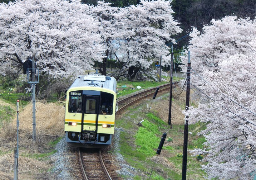 開業110年を迎える山陰のローカル線「木次線」で春さんぽ