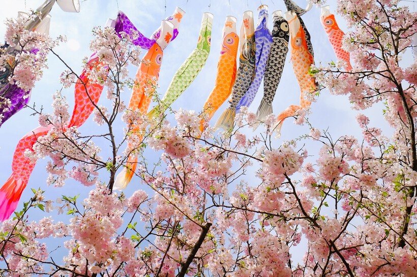 2000本の桜咲く小山市🌸夜桜や鯉のぼりとの競演🎏「おやまの桜まつり」開催