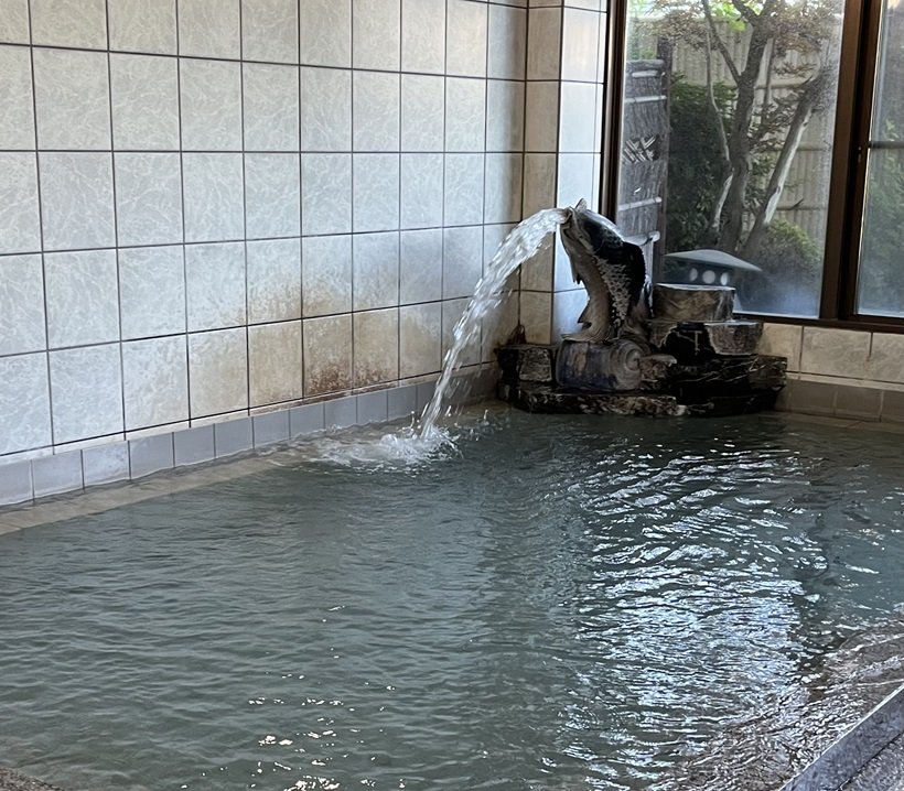 【ひなびた温泉】〝マー鯉〞の吠えるが如しの源泉かけ流し はやぶさ温泉<山梨>