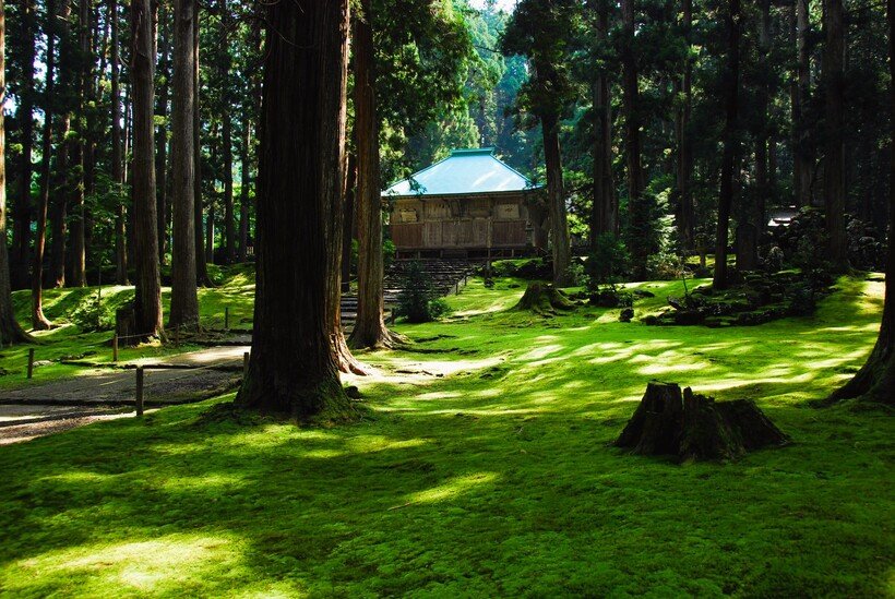 【新・日本の絶景】境内に広がる苔の美しさで知られる「平泉寺白山神社」