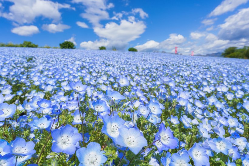48_9　８　pixta_84246138.jpg