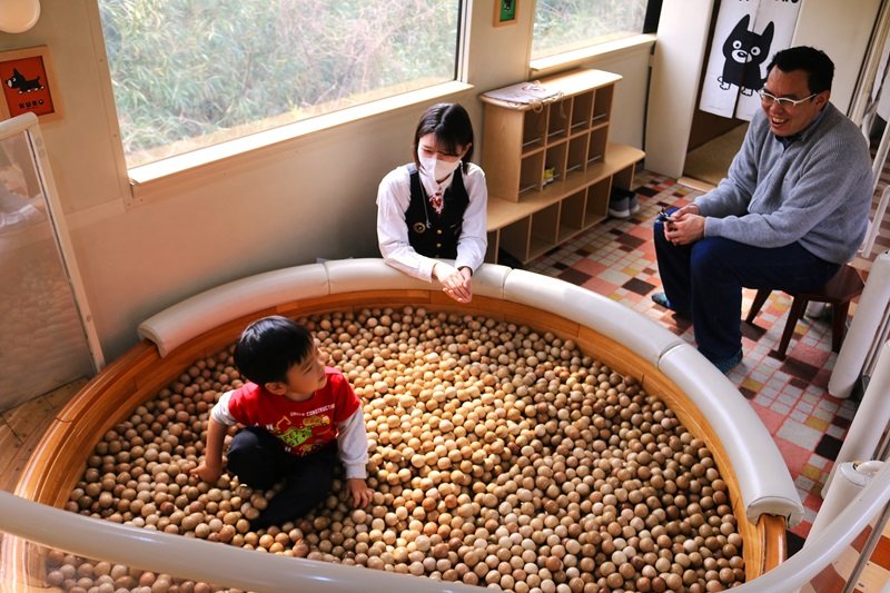 子どもは木のボールプールで大はしゃぎ