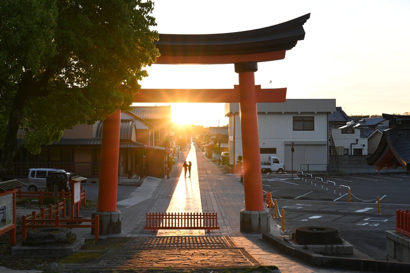 55_36　43●光の参道（宇佐神宮_大分県）.jpg