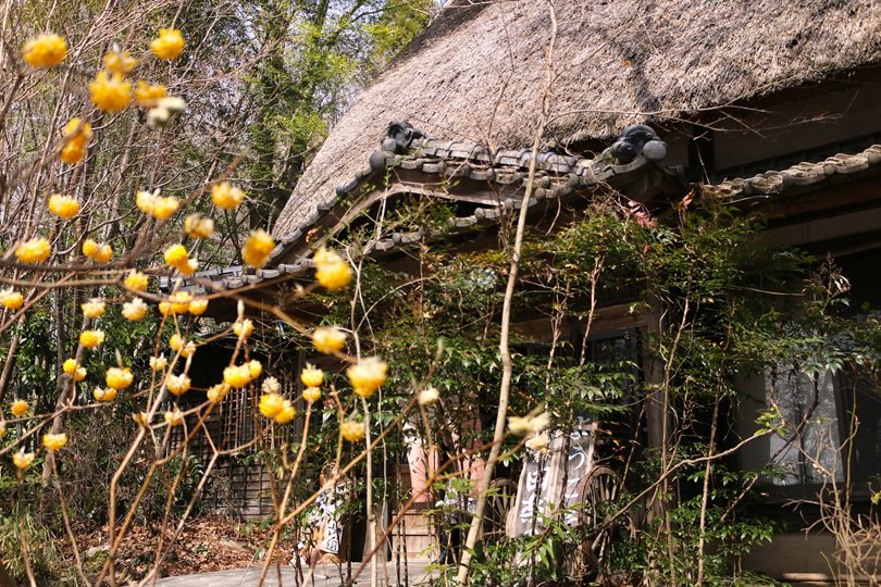 昔風情漂う建物