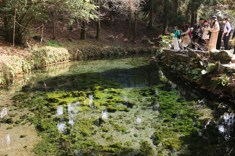 熊本県でプレDCを開催中！～熊本の旅④～
